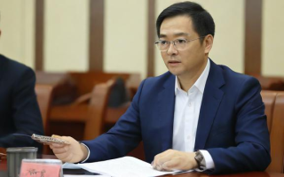 非这个字在中文里究竟是什么意思？