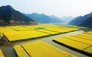长河油是什么（长河油腻）