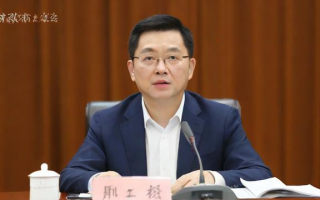 金信报告是什么？一文带你了解其定义与作用