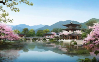什么是锦化