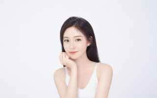 系统性这一术语究竟指的是什么？