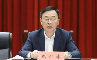 董事与监事分别承担哪些职责与角色？