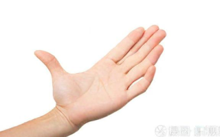 掌上通是什么