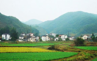 乡村对什么