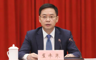 什么是点融网