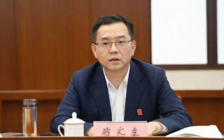 什么是净值？它如何影响我们的投资决策？