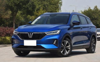 10万能买什么