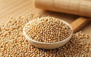 豆粕在营养成分上存在哪些不足？
