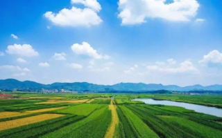 激活白条需要什么条件，激活白条需要满足哪些条件？