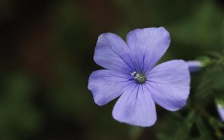 花名册究竟是什么？