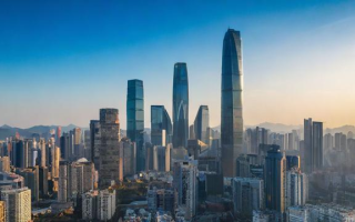 中国的什么需求
