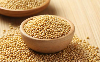 为什么豆粕价格会出现大幅波动？