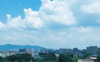 打卡工资是什么