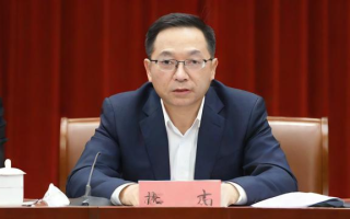 议案是什么