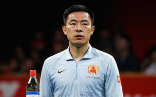 郑醇价格波动因素解析，究竟哪些元素主导其涨跌？