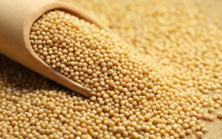 豆粕连续究竟是什么意思？