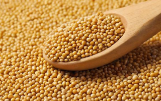 豆粕期货用什么买，豆粕期货应该用什么来购买？