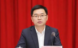 张磊买了什么A股