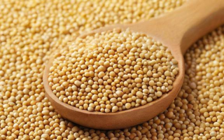 豆粕是由哪种豆子制成的？