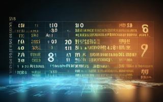 期权一级投资者是什么？