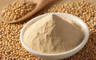 期货美豆粉是什么？详解其概念与特点