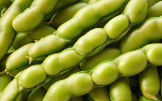 2021年豆油价格走势如何？