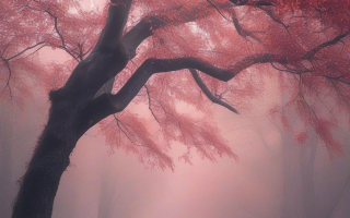 郑醇受什么因素影响