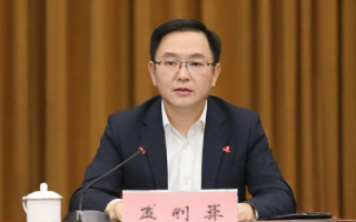 京东方A究竟是一家怎样的公司？