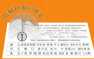 社保是什么意思啊