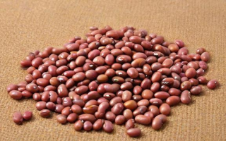 全球豆是什么意思