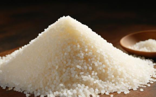 探究期货淀粉价格波动的主要影响因素有哪些？