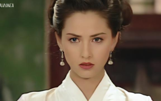 德美是什么