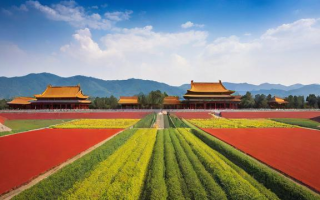 中国缺什么资源