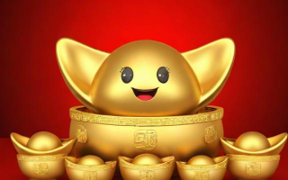 元宝什么样