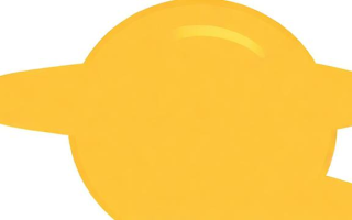 www表示什么