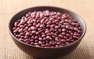 银豆是什么