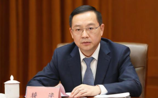 股票庄家是什么