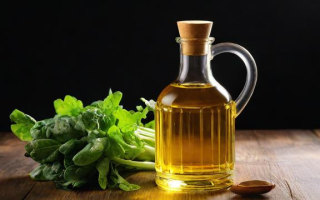 菜油1901这一术语究竟指的是什么？