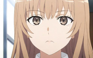 日麻的同是什么