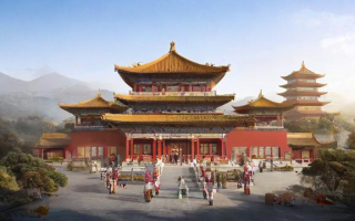 九泰什么