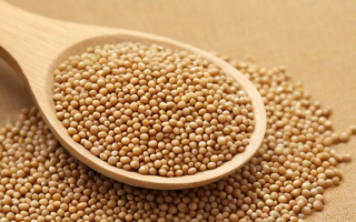 豆粕价格飙升对哪些行业产生积极影响？