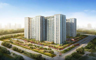 龙头股份有什么土地