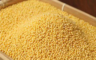 重庆豆粕品质如何？哪种豆粕更受青睐？