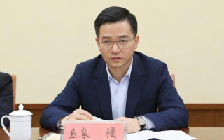 期货新手先做什么品种
