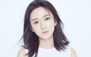 st什么意思啊