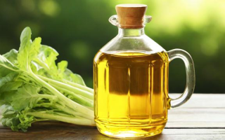 菜油究竟指的是什么？