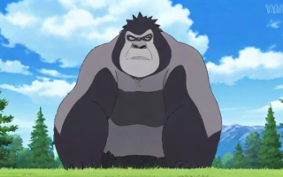 大是大非一词的确切含义是什么？