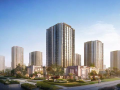 招行为什么
