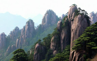 青松是什么意思（排排青松是什么意思）