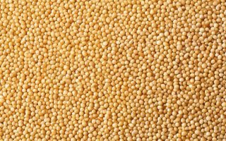豆粕1811究竟代表什么含义？